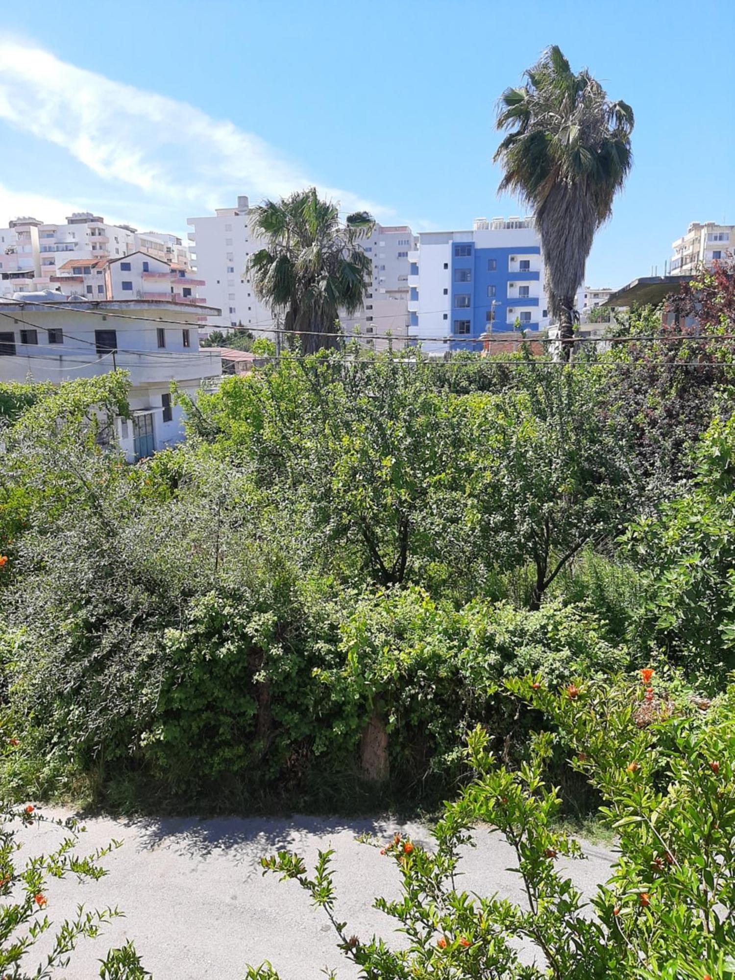 Serenade Beach Dıraç Dış mekan fotoğraf